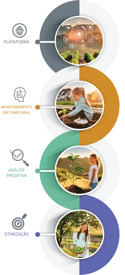 Visão geral da plataforma